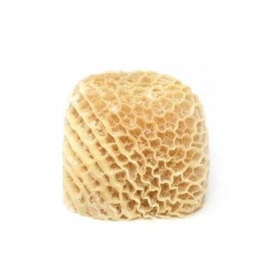 honey comb tripe saki