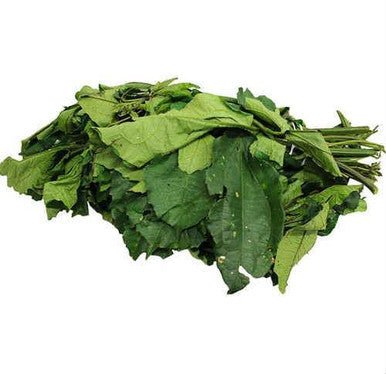 Fresh Ugu Leaves 1 Bunch